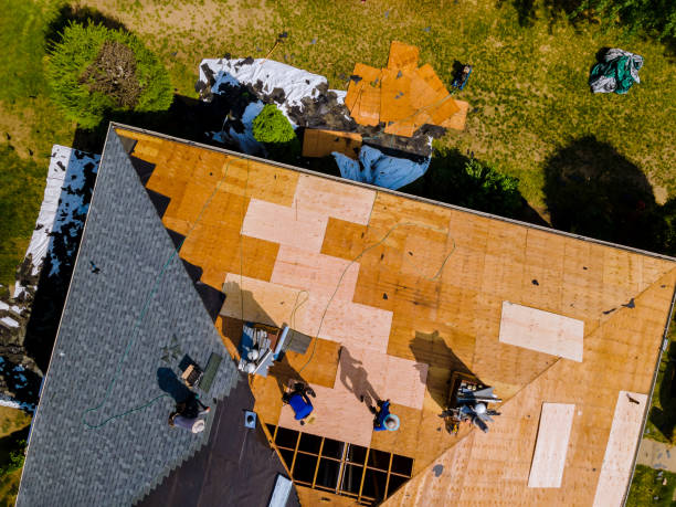 Best Storm Damage Roof Repair  in Hawthorne, NV