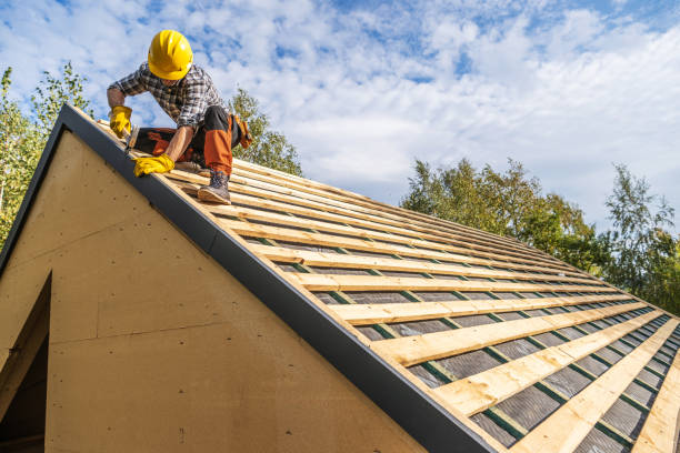Best Roof Maintenance Services  in Hawthorne, NV